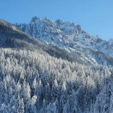 Seventy Seven Kranjska Gora