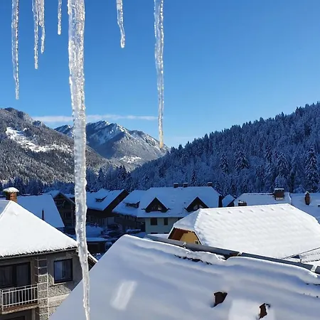 Lejlighed Seventy Seven *