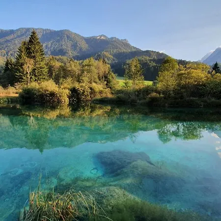 Apartman Seventy Seven *