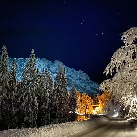 Seventy Seven Appartement