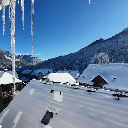 Seventy Seven * Kranjska Gora