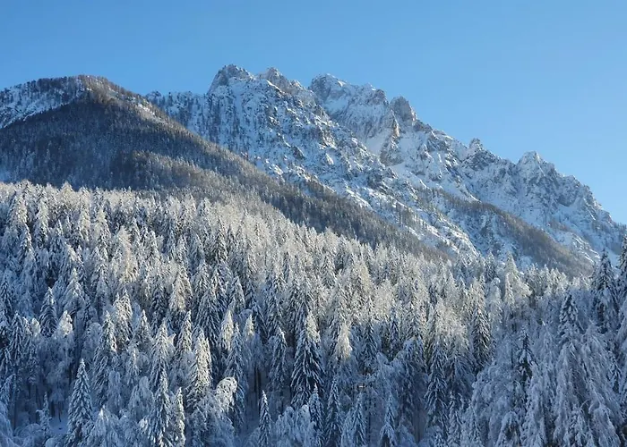 Seventy Seven Kranjska Gora