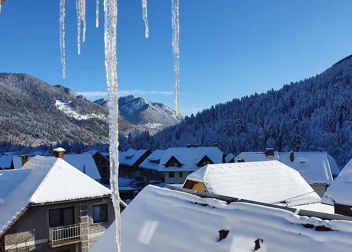 Apartment Seventy Seven *